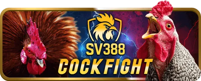 Cá cược quần vợt sumclub